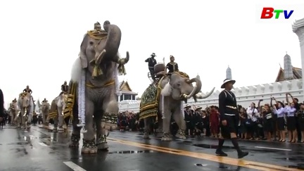 Đàn voi diễu hành bày tỏ lòng thương kính cố quốc vương Thái Lan Bhumibol Adulyadej
